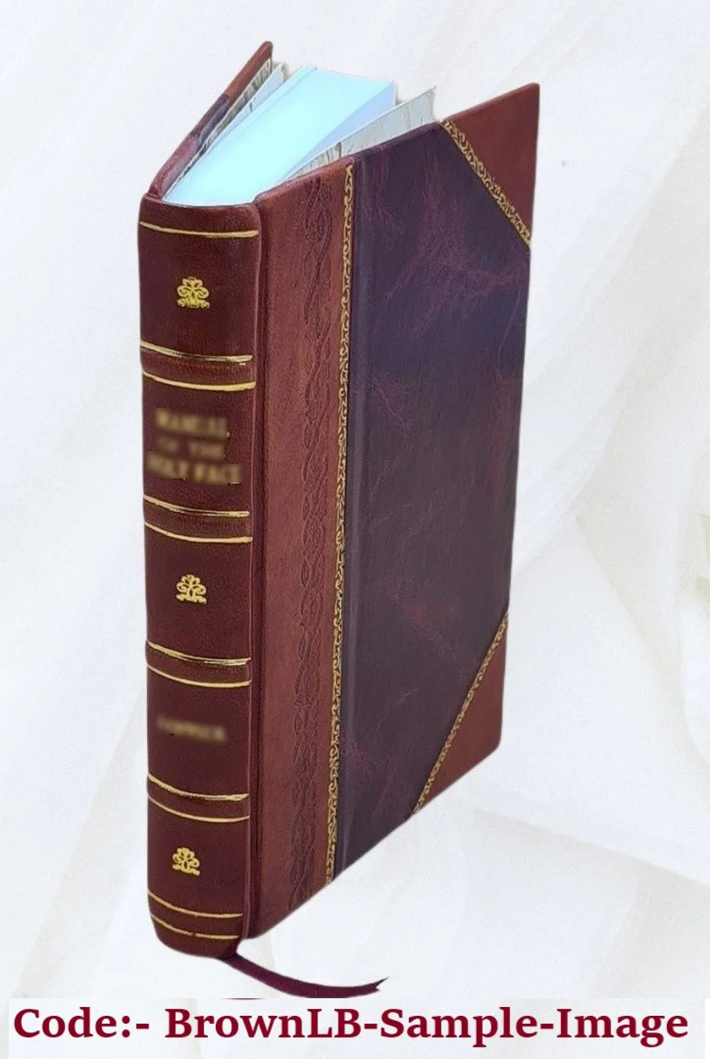 Aerodynamics: Constituting the First Volume of a Complete Work on Aerial Flight 1908 [Leather Bound]
