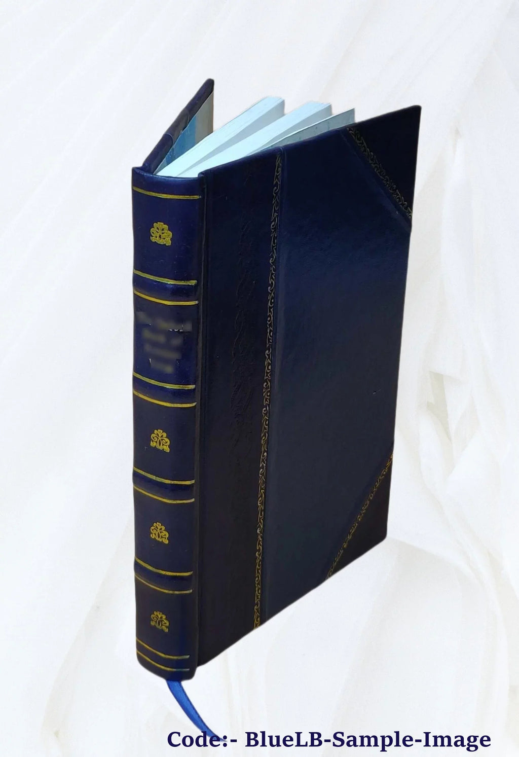 Plvtarchi Bina Opvscvla, Altervm De Pverorvm Edvcatione, In Vsvm Tironvm Altervm De Ratione Avdiendi, In Vsvm Provectiorvm Accomodata 1738 [Leather Bound]