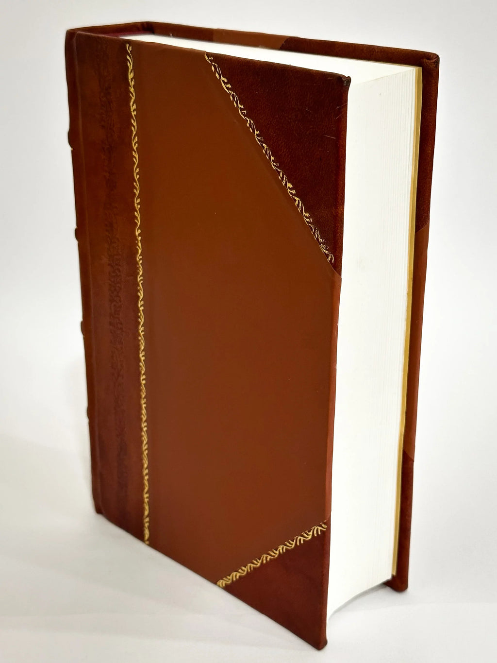 Apologeticus Pro Lectione Apostolica, Et Euangelica, Pro Vulgata Diui Hieronymi, Pro Translatione 70 Virorum, Proque Omni Ecclesiastica Lectione Contra Earum Obtrectatores. (1585) [Leather Bound]
