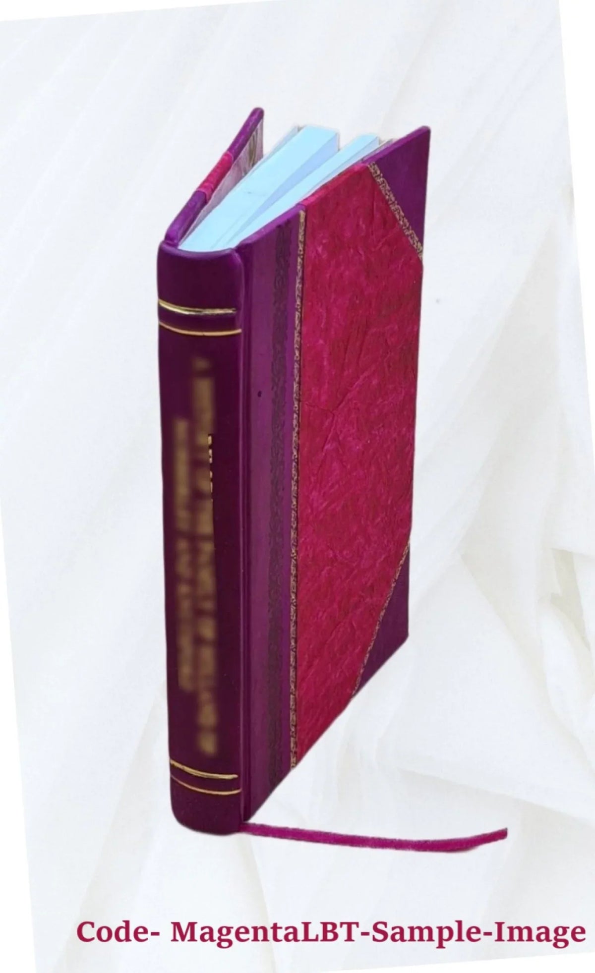 United States of America v. Lupo Volume Brief by Plaintiff-Appellee (February 2, 1981) 1981 [Leather Bound]