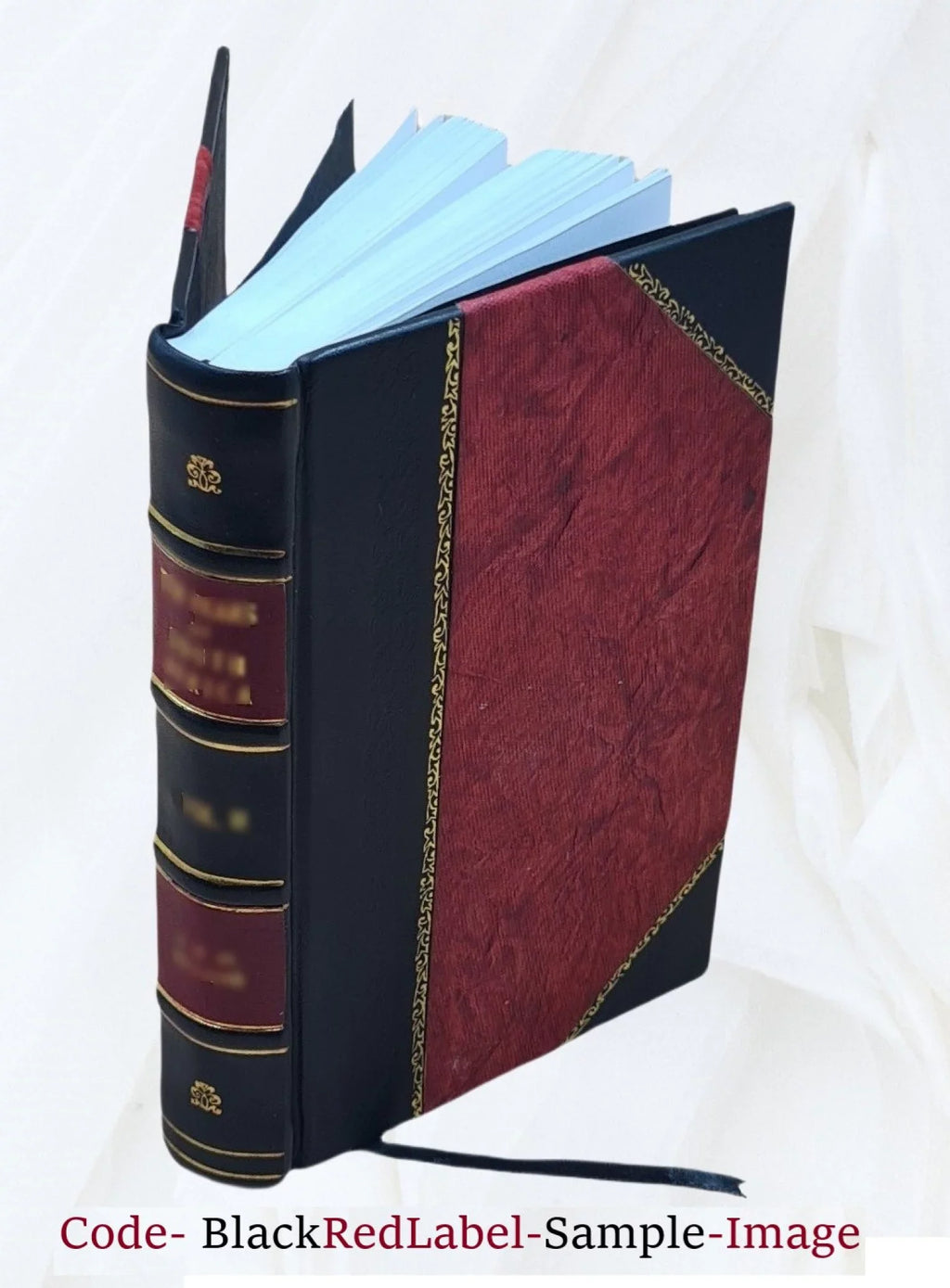 The New York public school; being a history of free education in the city of New York by . Emerson Palmer...authorized by the Board of education; introduction by Seth Low .. 1905 [Leather Bound]