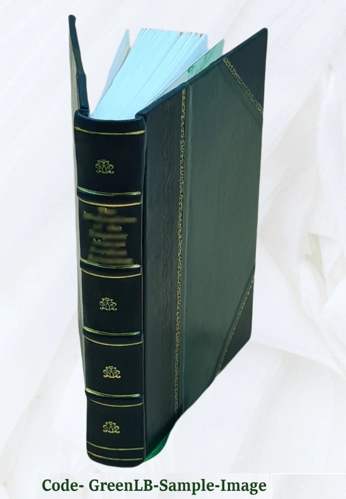San Remo and the western Riviera climatically and medically considered 1883 [Leather Bound]