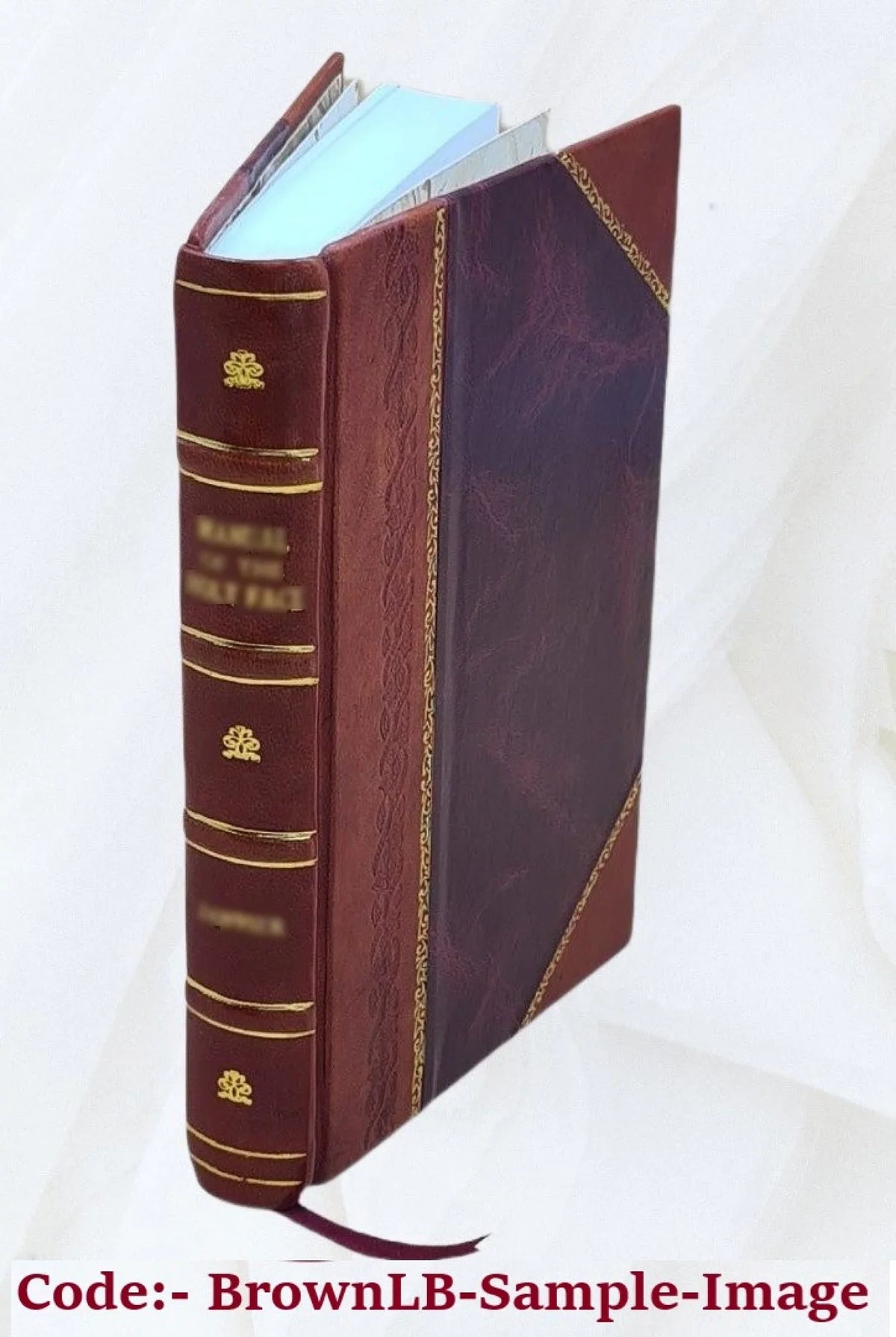 Chased through Norway, or, Two million dollars missing / by James Otis. 1899 [Leather Bound]
